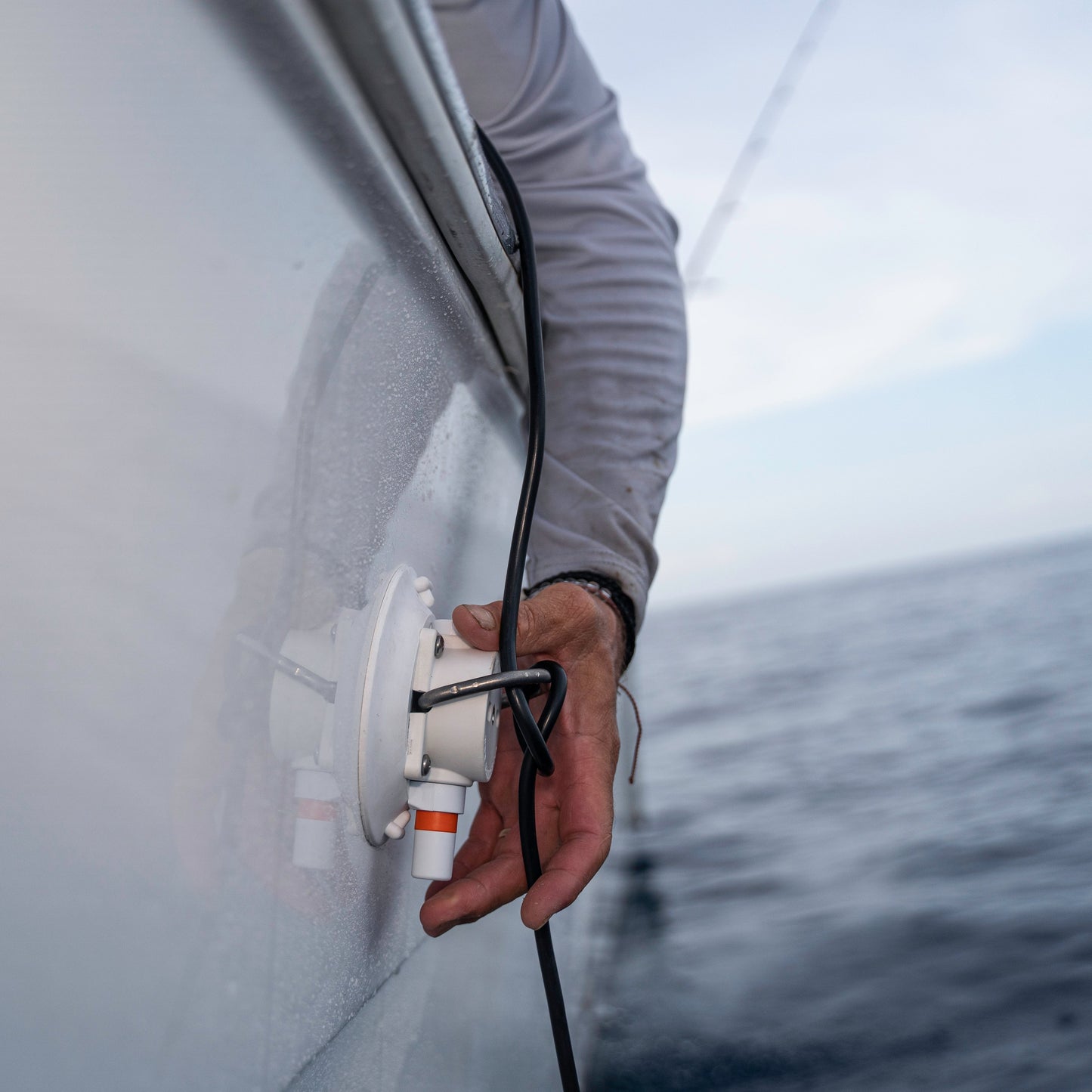 SeaSucker mit D-Ring aus Edelstahl 11 cm