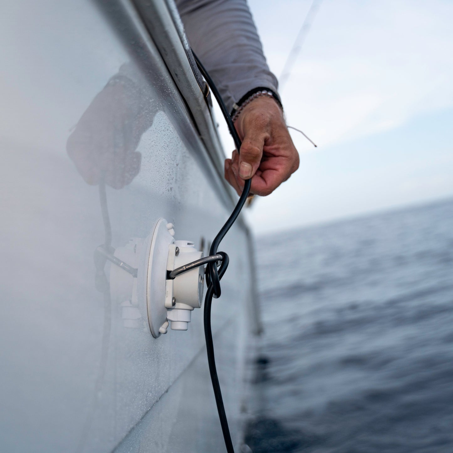 SeaSucker mit D-Ring aus Edelstahl 11 cm