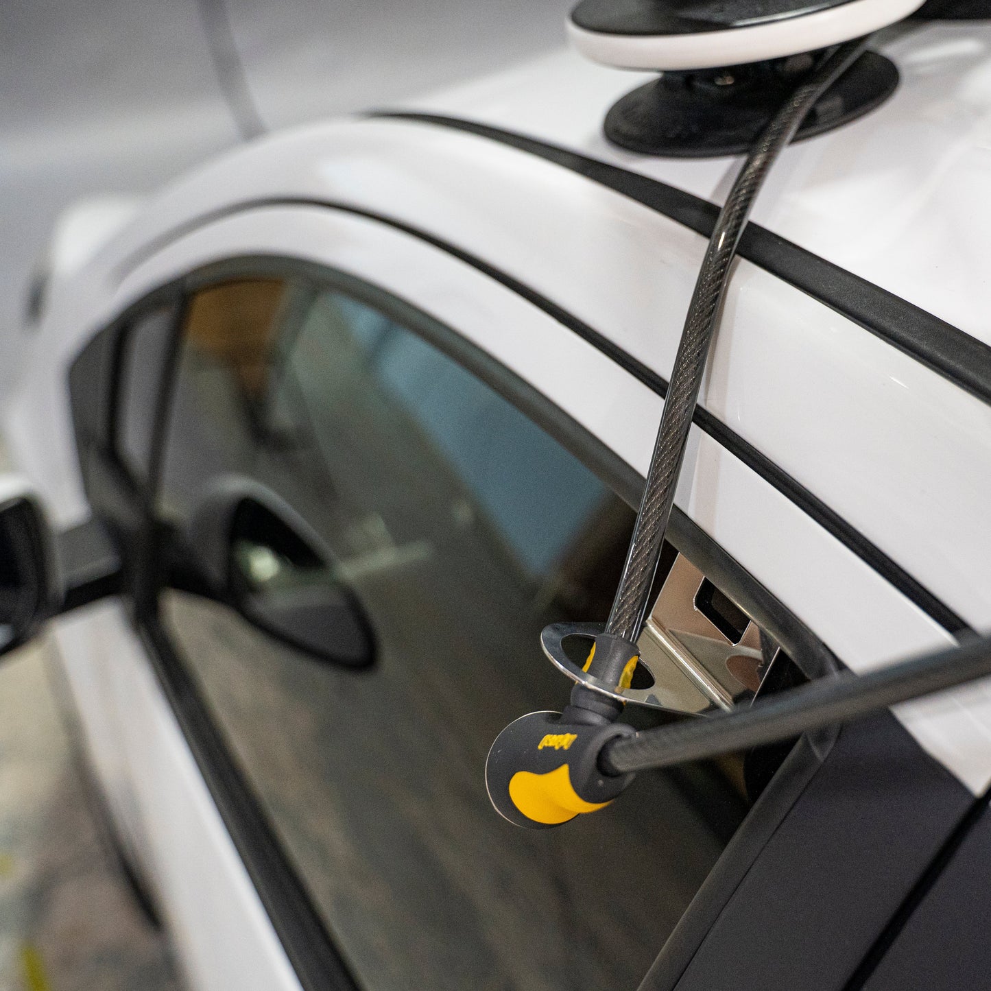 Kabel-Anker – Fenster